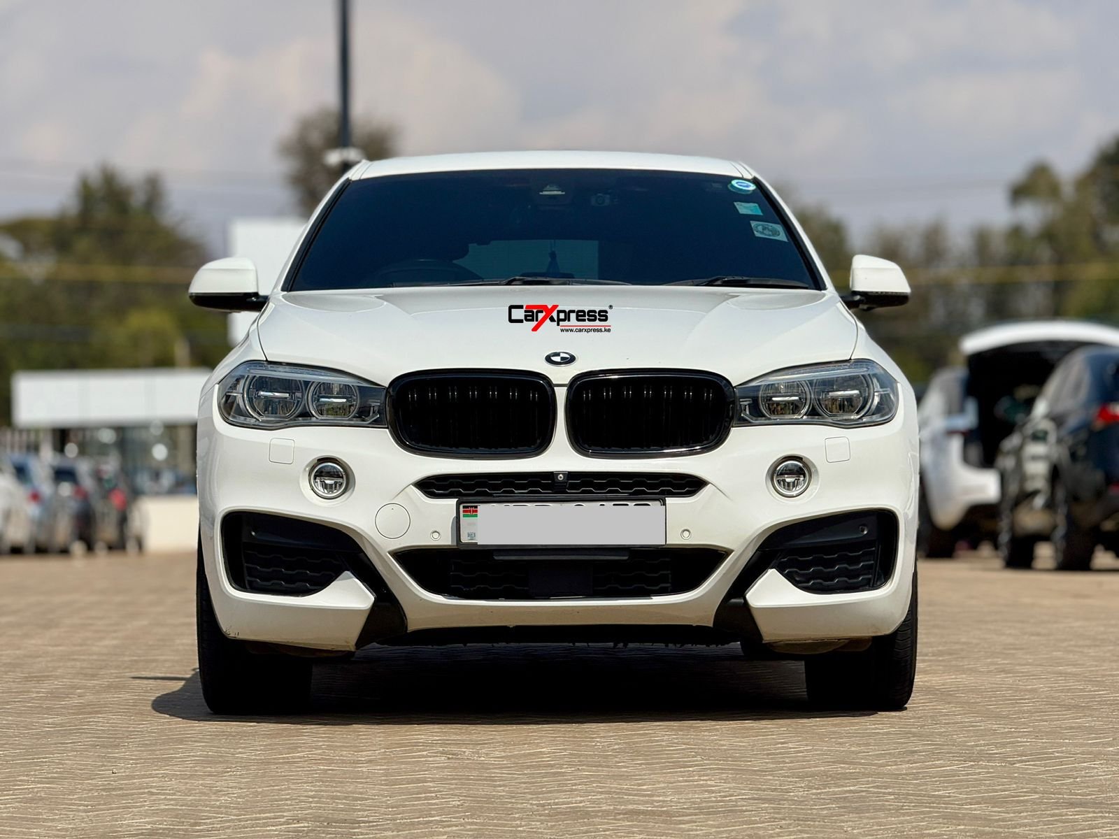 BMW X6 XDRIVE 35i thumbnail 3