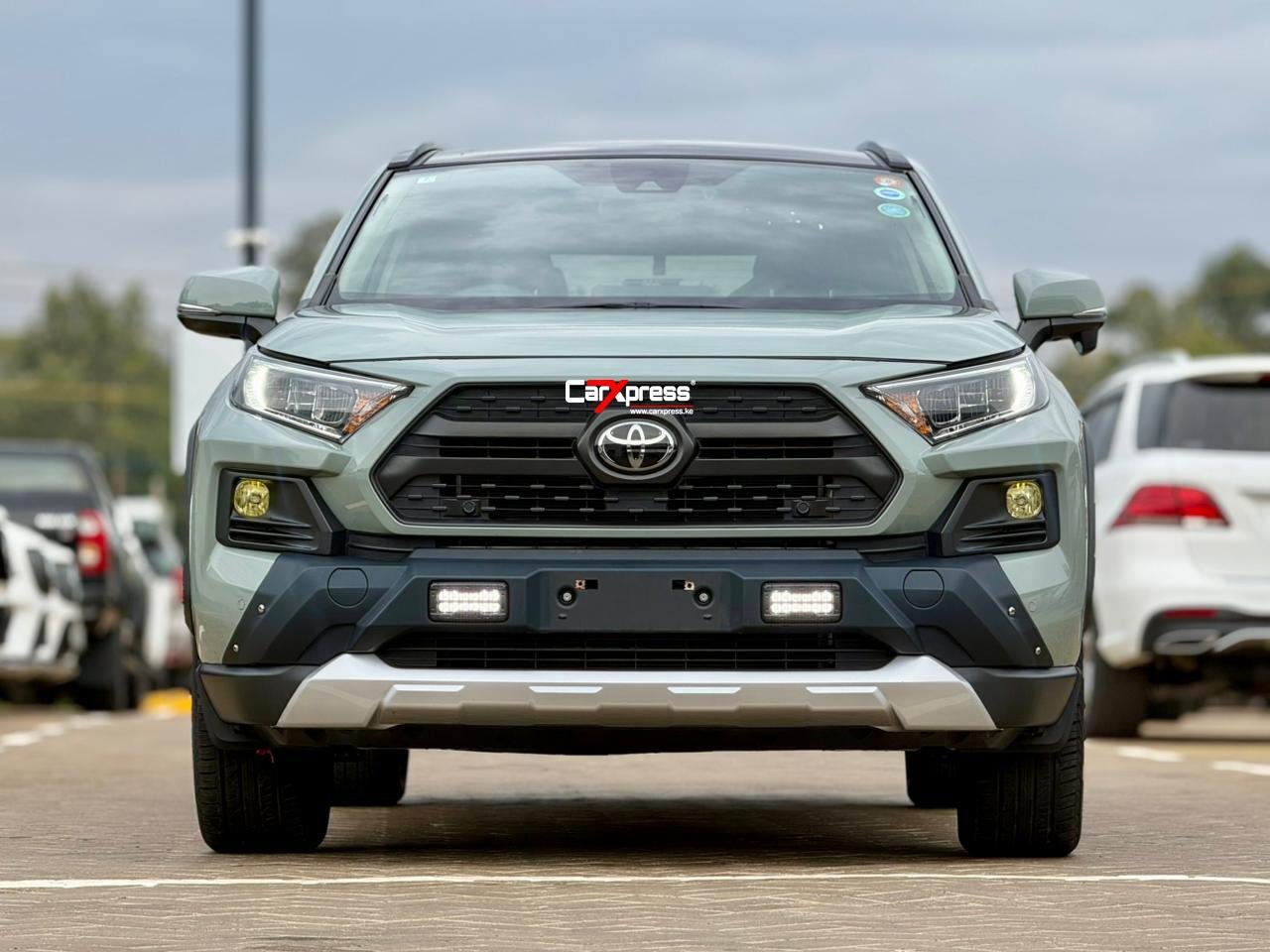 TOYOTA RAV4 ADVENTURE EDITION thumbnail 3