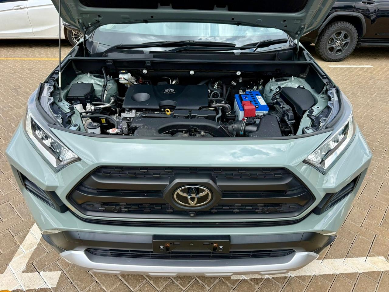 TOYOTA RAV4 ADVENTURE EDITION thumbnail 18