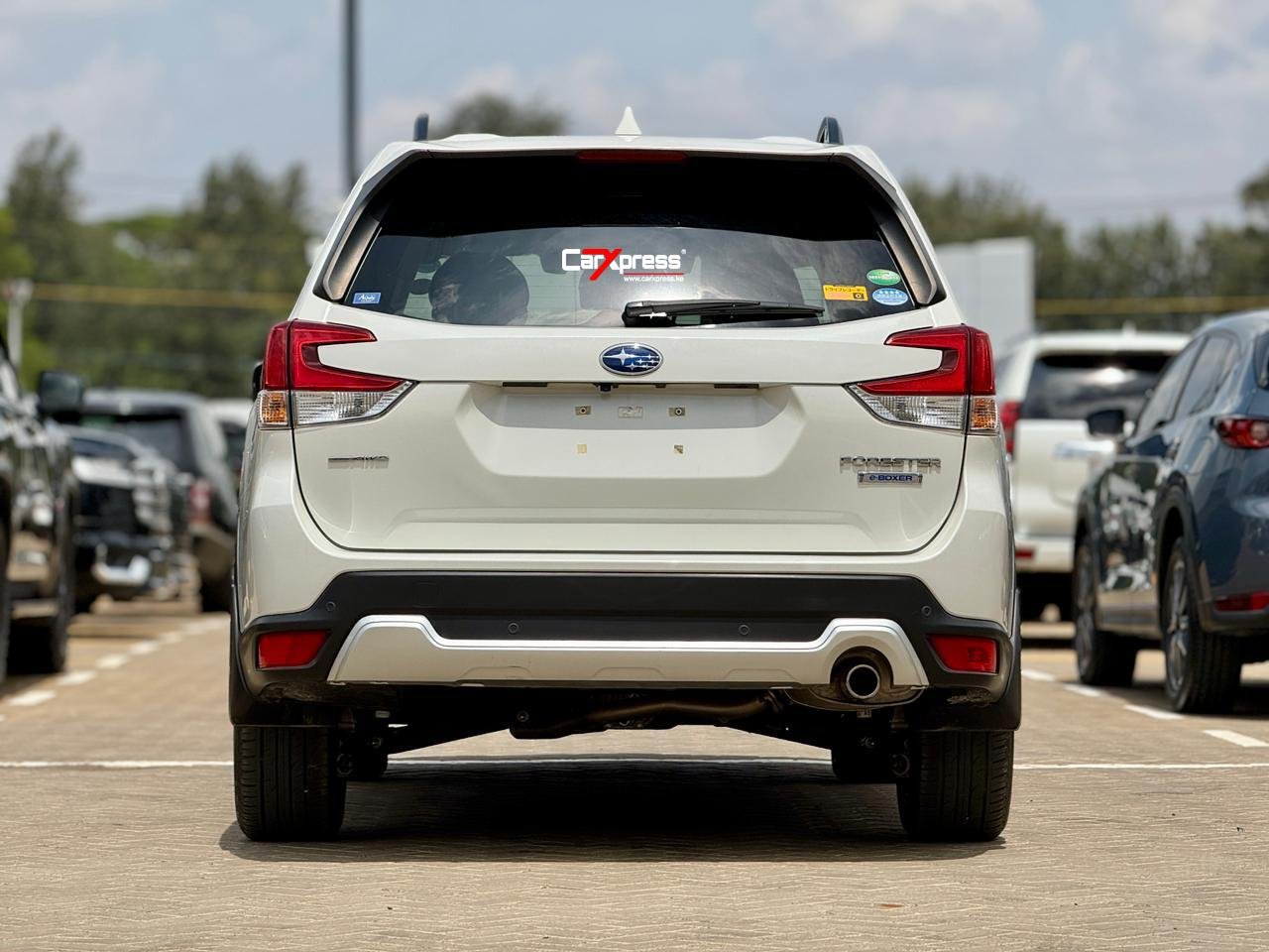 SUBARU FORESTER SKE thumbnail 4