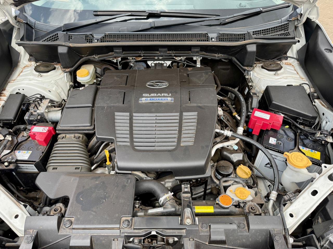 SUBARU FORESTER SKE thumbnail 19