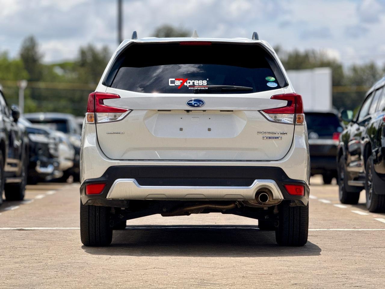 SUBARU FORESTER SKE thumbnail 4
