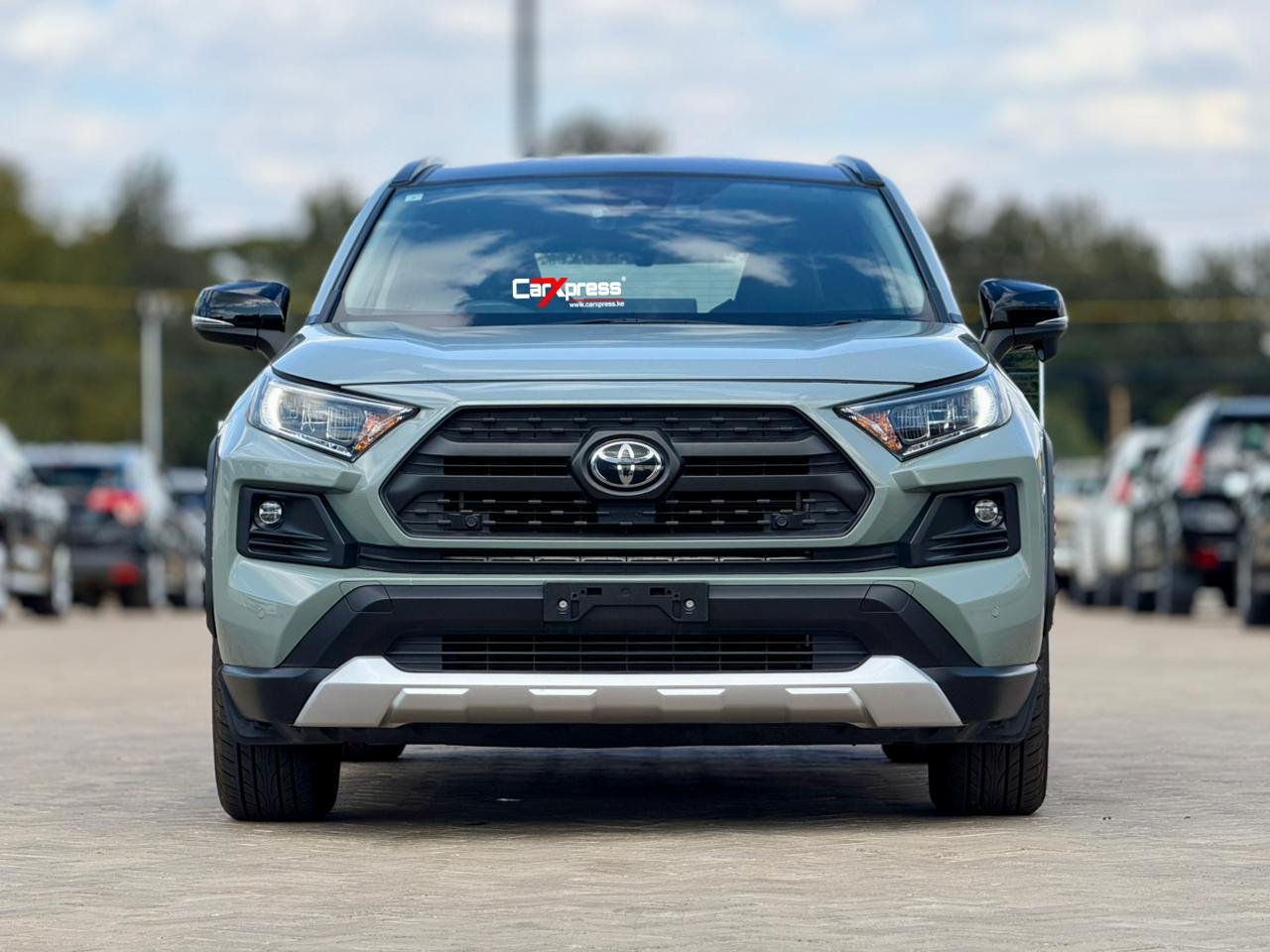 TOYOTA RAV 4 ADVENTURE thumbnail 3